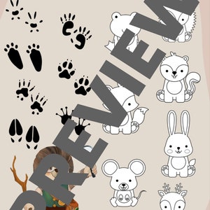 Animal Tracks Activity Sheet