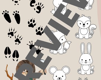 Animal Tracks Activity Sheet