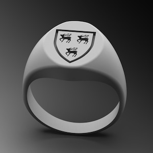 Coat Of Arms Ring Family Crest Ring Custom Signet Ring Unique Siegelring Herren Chevalière Wappen Personalized Graduation Patriotic Ring
