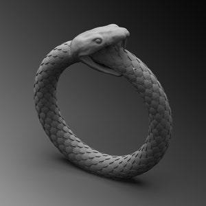 Silver Snake Ring - Ouroboros Snake Ring - 925k Serpent Rings For Man - Handmade Snake Band Ring Sterling Ouroboros Band Unique Jewelry Gift