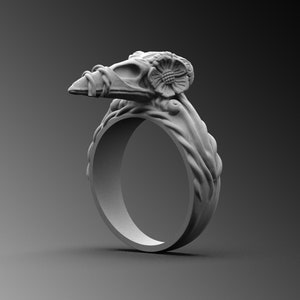 Raven Skull Handmade Sterling Silver Men Signet Ring Bird Skull Unique Animal Ring Raven Silver Men Jewelry Punk Ring Gothic Men&#39;s Ring Gift