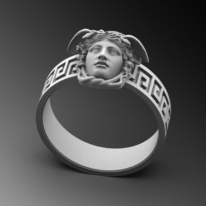 Silber Medusa Siegelring für Mann Silber Gorgon Medusa Ring Sterling Silber Medusa Ring Einzigartiger Medusa Ring Biker Handmade Pinky Geschenk für Ihn