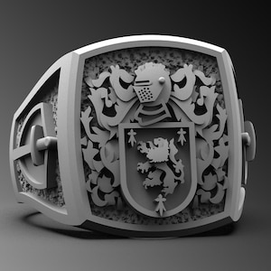 Family Crest & Coat Of Arms Signet Ring, Custom Silver Rings For Men, Heraldic Wappen Ring 925k Unique Pinky Ring Wax Seal Ring Mens Jewelry
