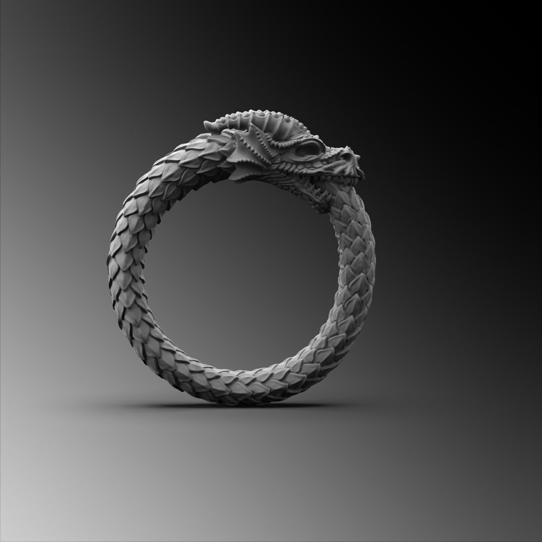 Mens Dragon Ring Silver Ouroboros Ring Mens Ring Dragon Rings for Man Silver Ring Man