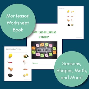 Montessori Learning Activities