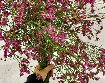 Fresh limonium misty bunch, pink limonium misty, white limonium misty, fresh flower bunch, wedding flowers, home decor