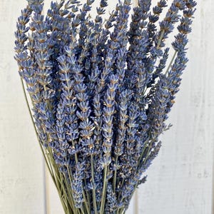 Dried English lavender bunch, lavender bundle, wedding decor, bouquet wedding bundle
