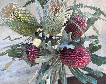 Fresh banksia mix stems, exotic flower stems, wedding flowers, fall flowers, winter flowers, fall decor,