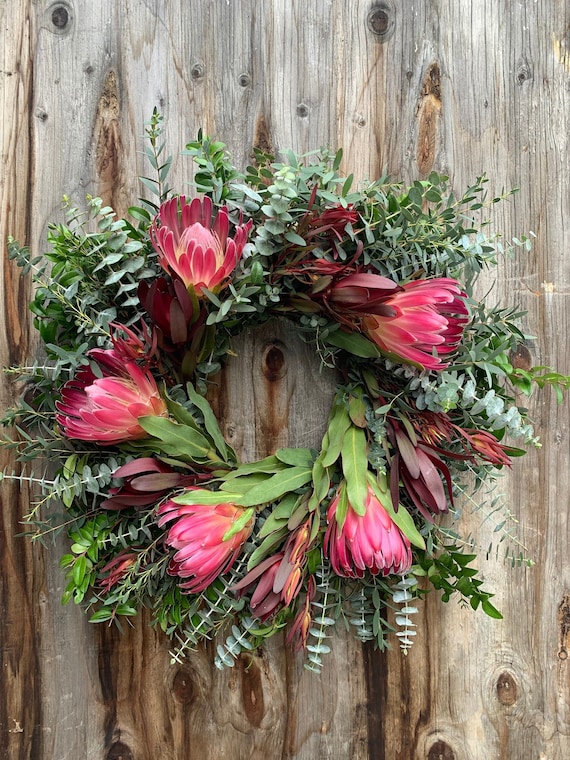 Fresh Protea Safari Gunni Babyblue Huckleberry Wreath, Real Flower