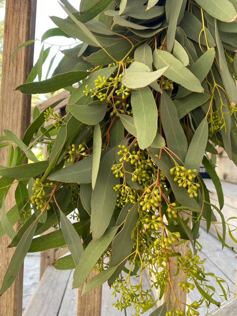 Fresh Eucalyptus Seeded Garland Wedding Garland Home Decor Etsy