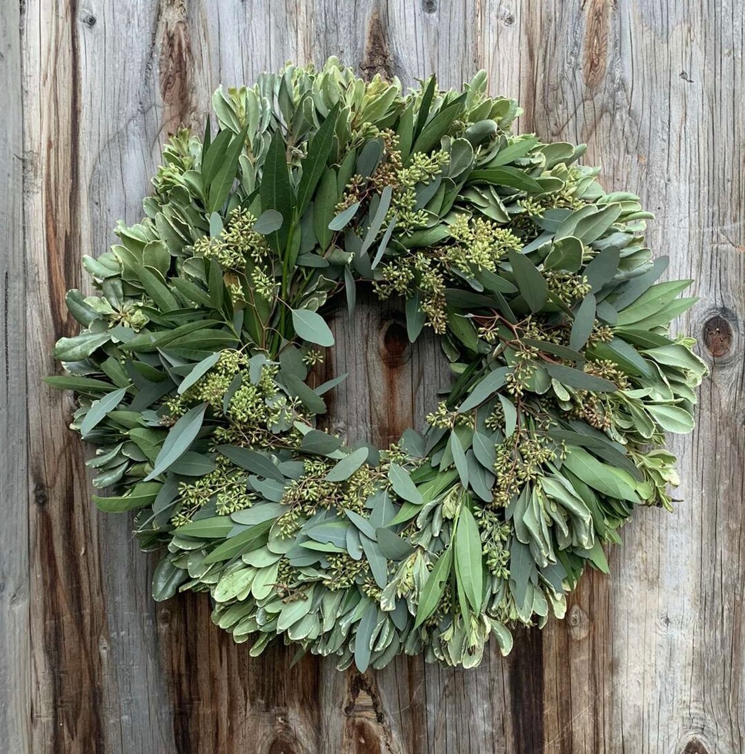 Fresh Bayleaf Eucalyptus Seeded Variegated Pitt Wreath Etsy