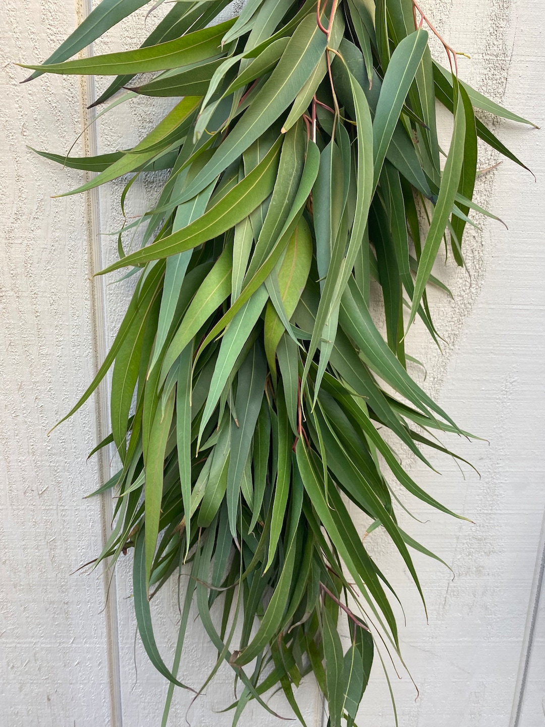 Fresh Willow Garland, Real Greenery Garland, Aisle Runner, Home Decor