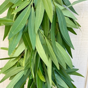Fresh Bayleaf garland, greenery garland
