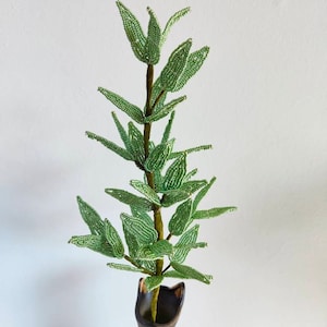 May include: A green beaded plant with multiple branches and leaves in a black vase.