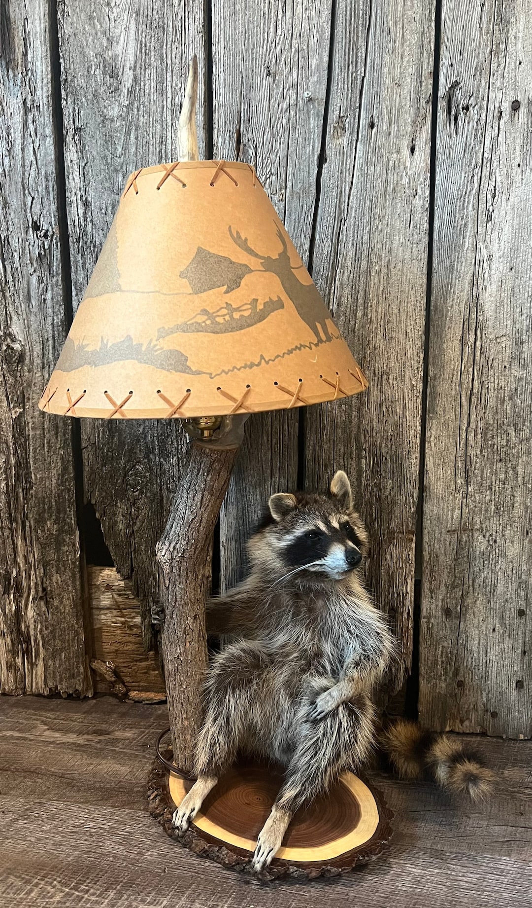 Gorgeous Raccoon Table Lamp Etsy Australia