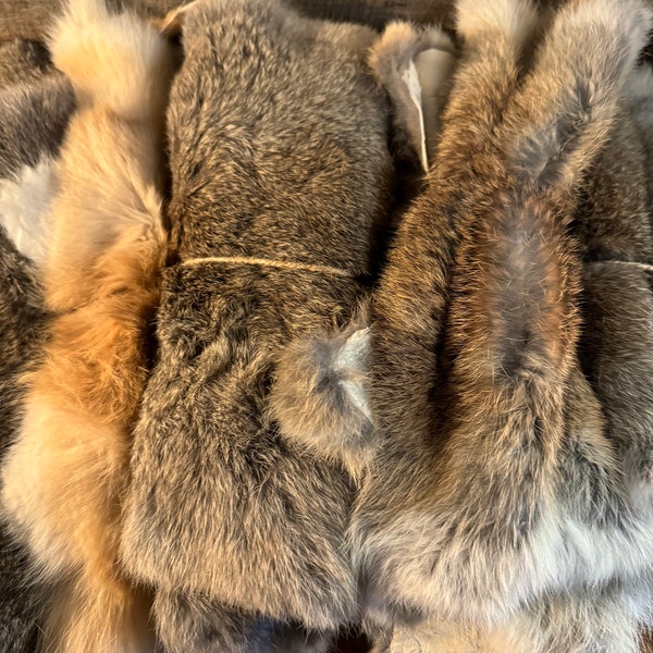 Rabbit Fur Pelts