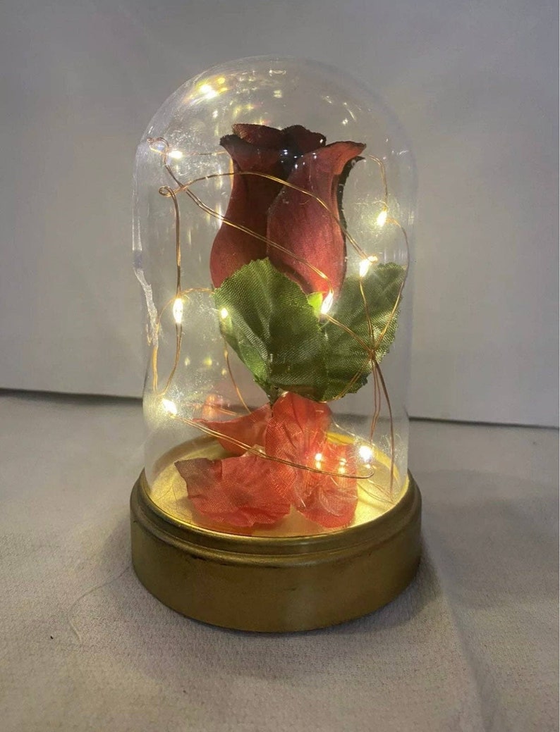 Beauty and the Beast Enchanted Rose Dome Light Beauty and Etsy