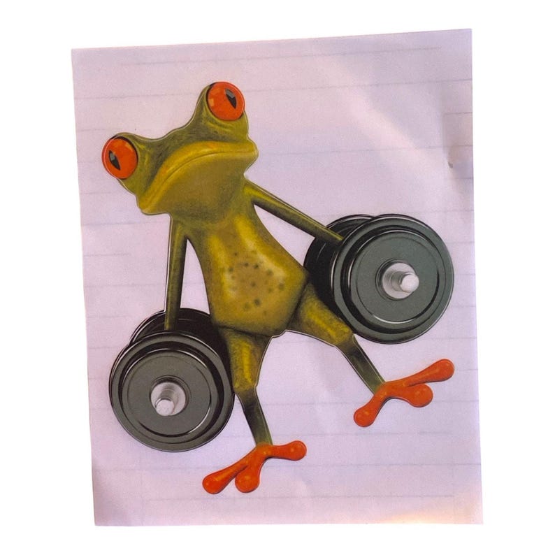 Funny Frog Sticker Set – Cool Frog Decals for Signs, Plaques, Home ...