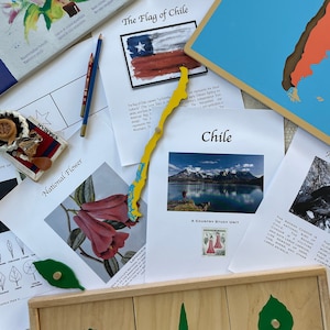 Chile Country Study I Digital I Geography, Social Studies, Latin American Culture, South American Studies, Homeschool Resource