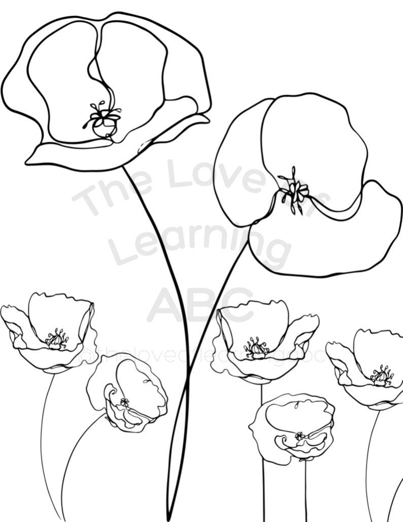 Remembrance Day Poppy Printable Colouring Page Veterans Day Coloring Etsy