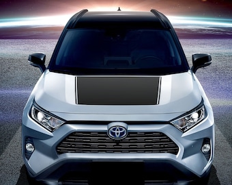 May include: A silver Toyota RAV4 with a black hood stripe. The car is facing the camera and is parked on a dark asphalt surface. The background is a dark blue sky with a bright light in the distance.