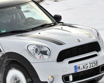 May include: White Mini Cooper Countryman with black racing stripes on the hood, black grille, and a black license plate that reads "M KG 3158".