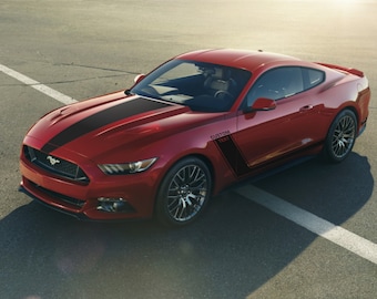 Ford Mustang GT Vinyl Decal Graphics Kit: Hood & Rocker Panel Stripes (2015-2017)