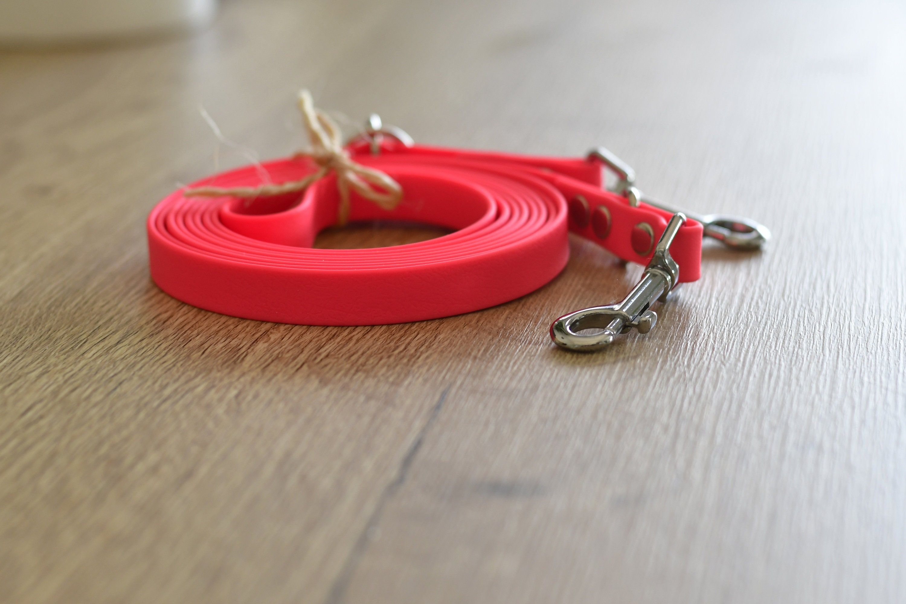 Laisse 2 Points Pour Chien 3Mètres