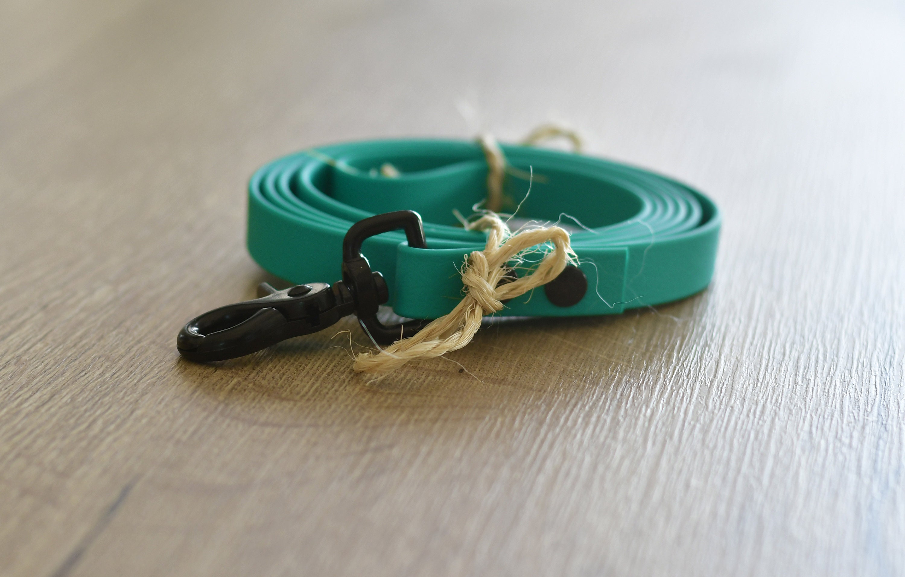 Laisse Simple Pour Chien 2 Mètres