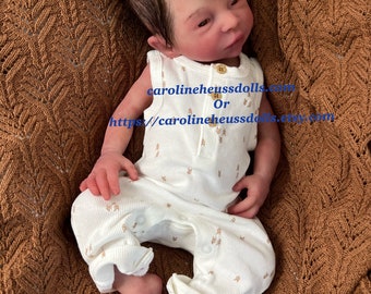 Customizable, soft full body silicone, newborn reborn baby boy doll Wren,  layaway accessory