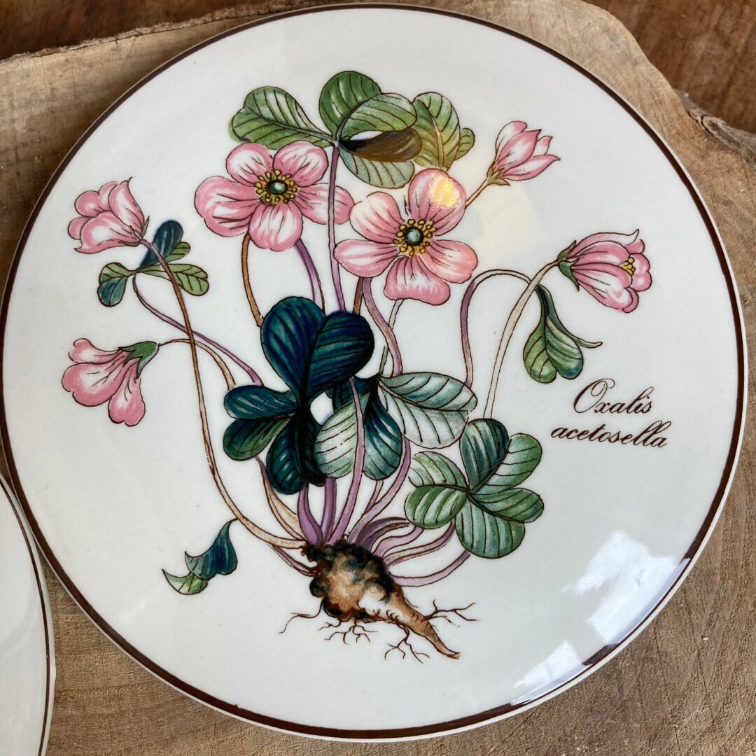 Bougie Bonbonnière Villeroy & Boch en Porcelaine - Botanica Oxallis Acetosella