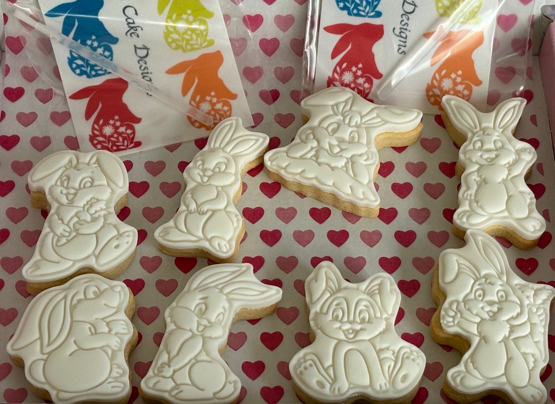 Paint Your Own Rabbit Cookies – Handmade Cookie Gift Set - Etsy