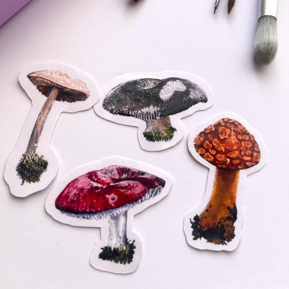 Original Artwork Hand Painted Watercolor Die Cut Waterproof Vinyl Sticker Handmade   Mushroom Pack