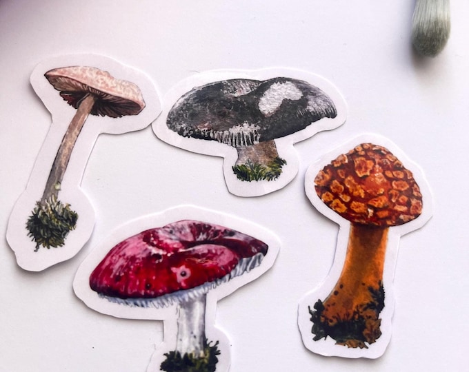 Woodland Mushrooms — Watercolor Stickers