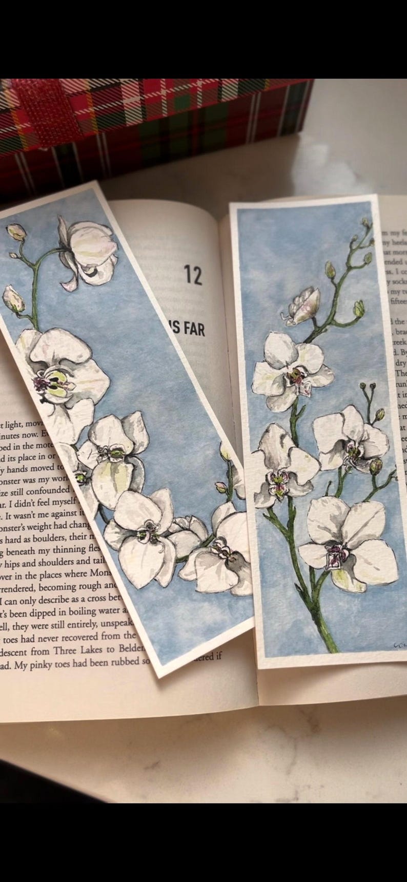 May include: Two watercolour bookmarks depicting white orchid flowers against a pale blue backdrop. The orchids have green stems and leaves. The bookmarks are on an open book.