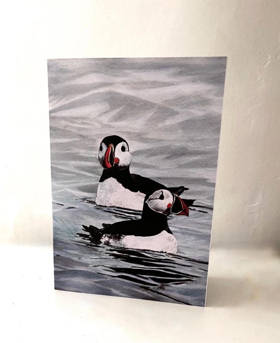 Art Print Cards Original Watercolor Painting Canadian Art Puffin Card