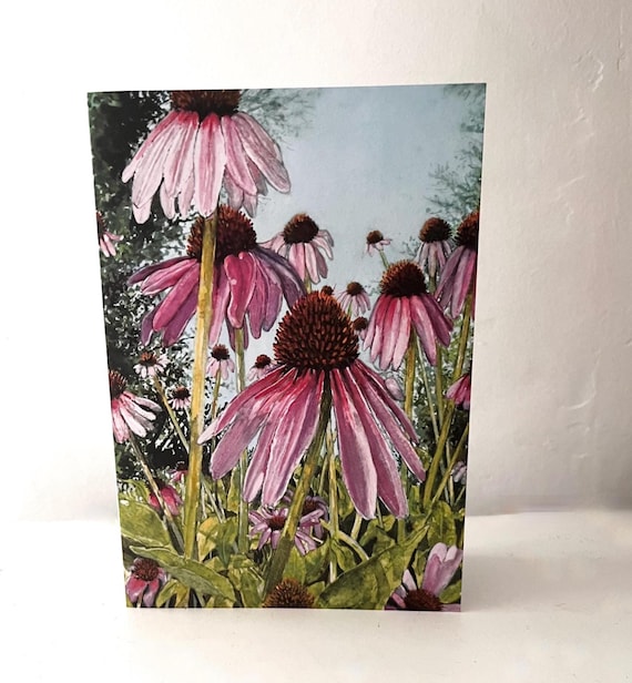Art Print Cards Original Watercolor Painting Canadian Art Coneflower Card