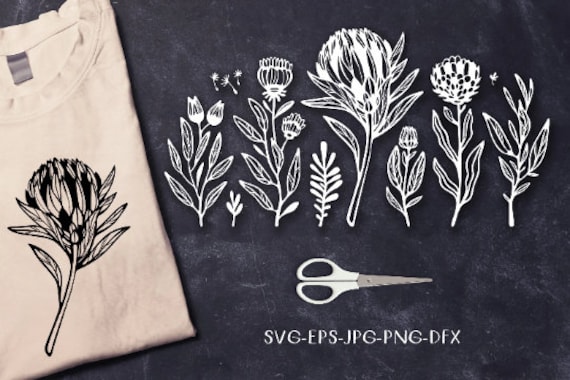 Protea SVG, hand drawn botanical floral stencil Cricut, round circle frame, Silhouette cut file, DXF PNG Pdf Jpg, Template cut & print