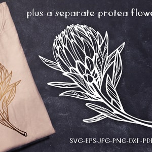 May include: A digital download of two black and white line art illustrations of protea flowers. The flowers are drawn in a detailed style with intricate lines and textures. The text "plus a separate protea flower" and "SVG-EPS-JPG-PNG-DXF-PDF" is also included in the image.