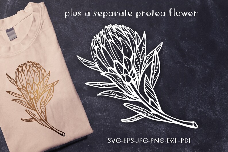 May include: A digital download of two black and white line art illustrations of protea flowers. The flowers are drawn in a detailed style with intricate lines and textures. The text "plus a separate protea flower" and "SVG-EPS-JPG-PNG-DXF-PDF" is also included in the image.