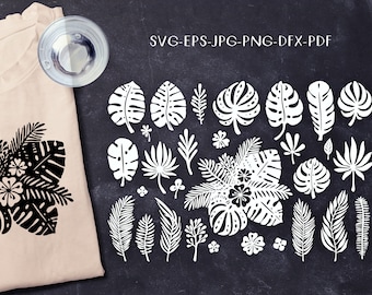 Set SVG di foglie tropicali, foglie di piante esotiche floreali, Cricut Explore, file di taglio Silhouette, DXF png pdf Jpg, modello da tagliare e stampare