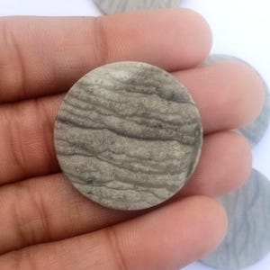 Fish Jasper Gemstone Flat Disk: Loose Coin Beads for Jewelry Making