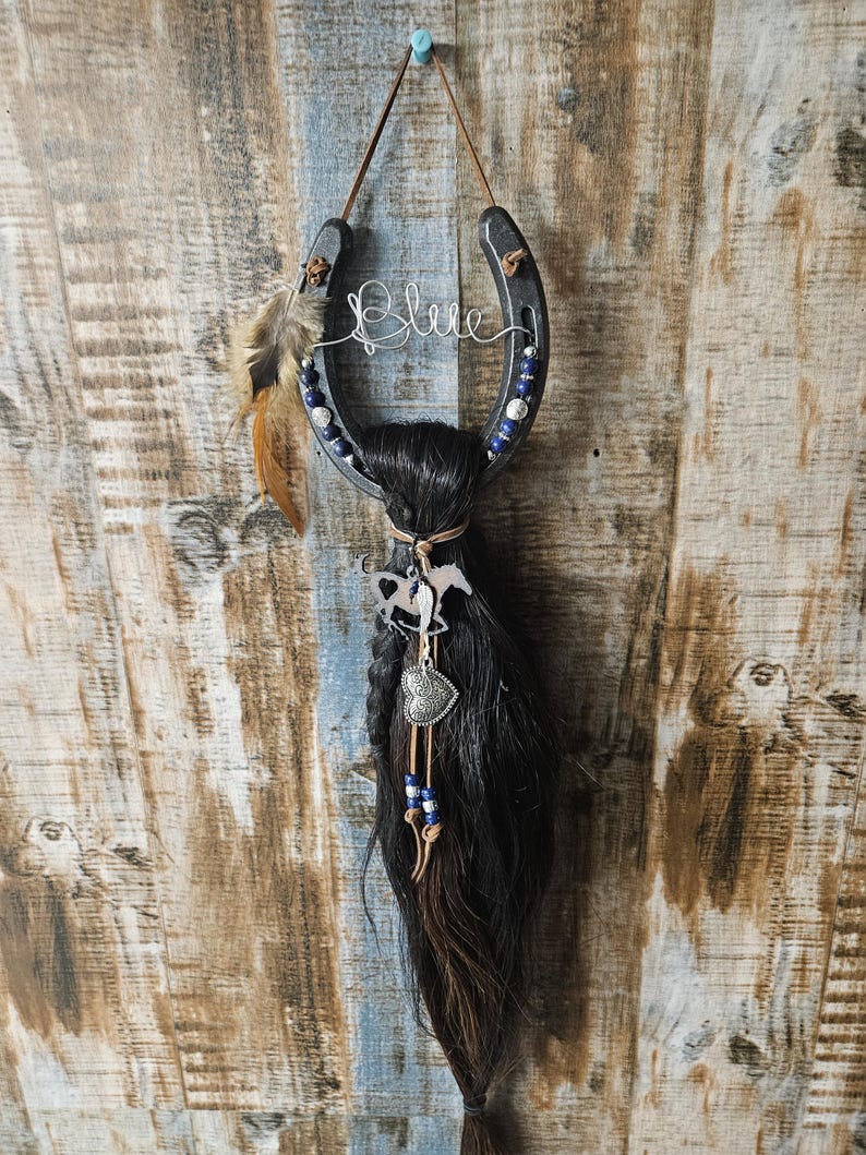 May include: A black horseshoe wall hanging with the word "Blue" in wire script. The horseshoe is decorated with blue beads, feathers, and a long black braid. A horse and heart charm dangle from the braid.