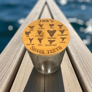 Shark Teeth Storage Jar - Shark Teeth Display, Shark Teeth Collection, Coastal Home Decor, Beachcombing, Shark Tooth Identification.