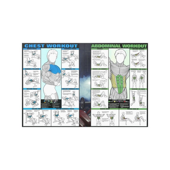 Abdominal Workout Poster