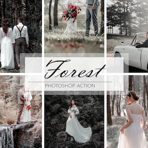 3 Forest Photoshop Actions, Jungle Actions, Nature Actions, Wedding Filter, Photoshop Filter