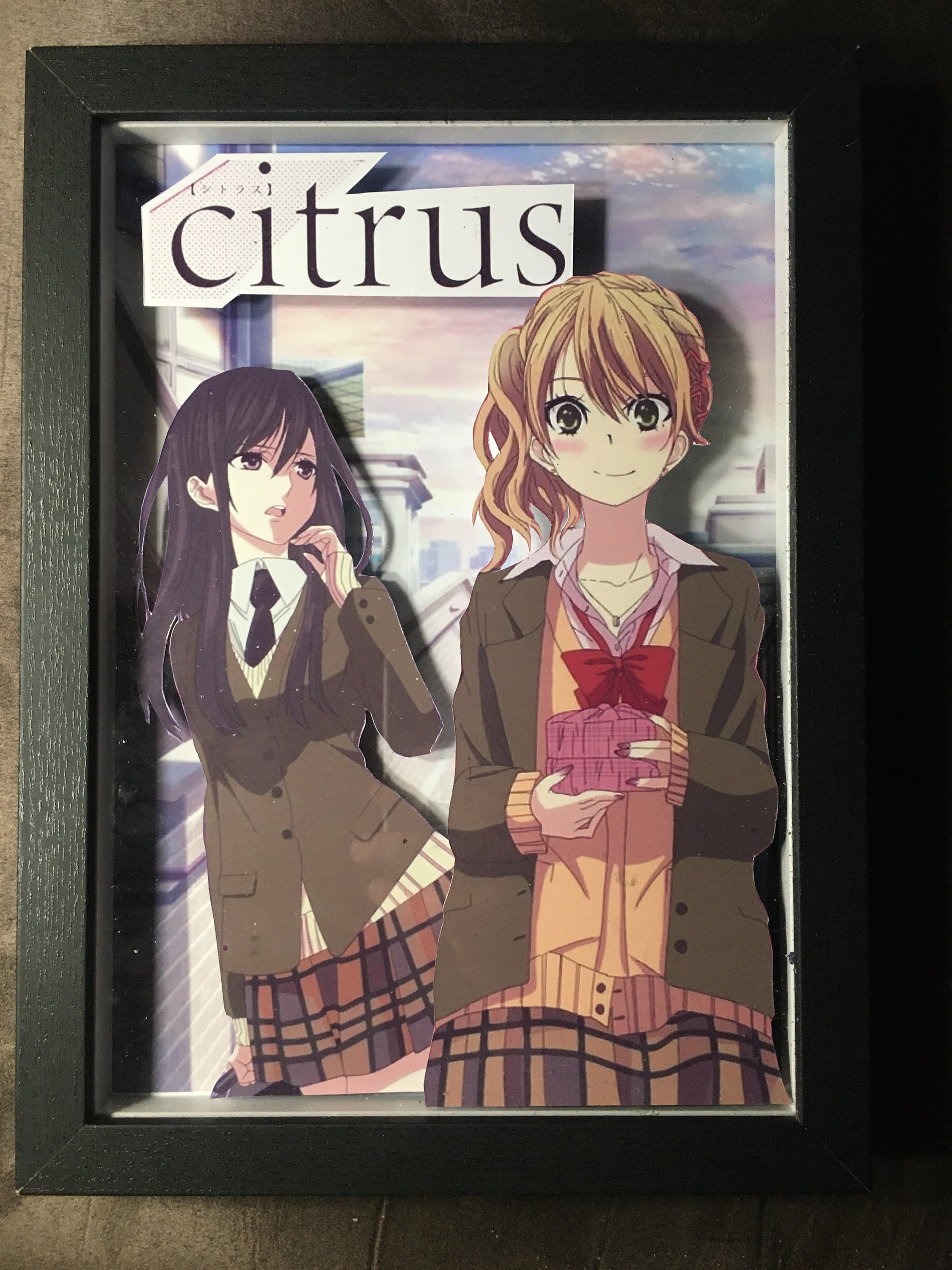 Citrus Anime - Etsy