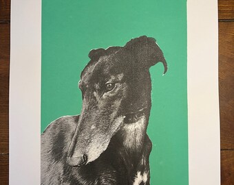 Limited Greyhound Screen Print (5 of 10) | A2 Screen Print | Greyhound art | Price includes greyhound rescue donation