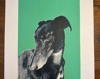 Limited Greyhound Screen Print (8 of 10) | A2 Screen Print | Greyhound art | Price includes greyhound rescue donation