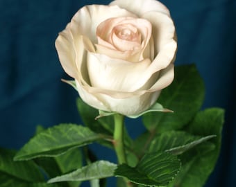 May include: A single, cream-colored rose with a light pink center, with green leaves on a stem.